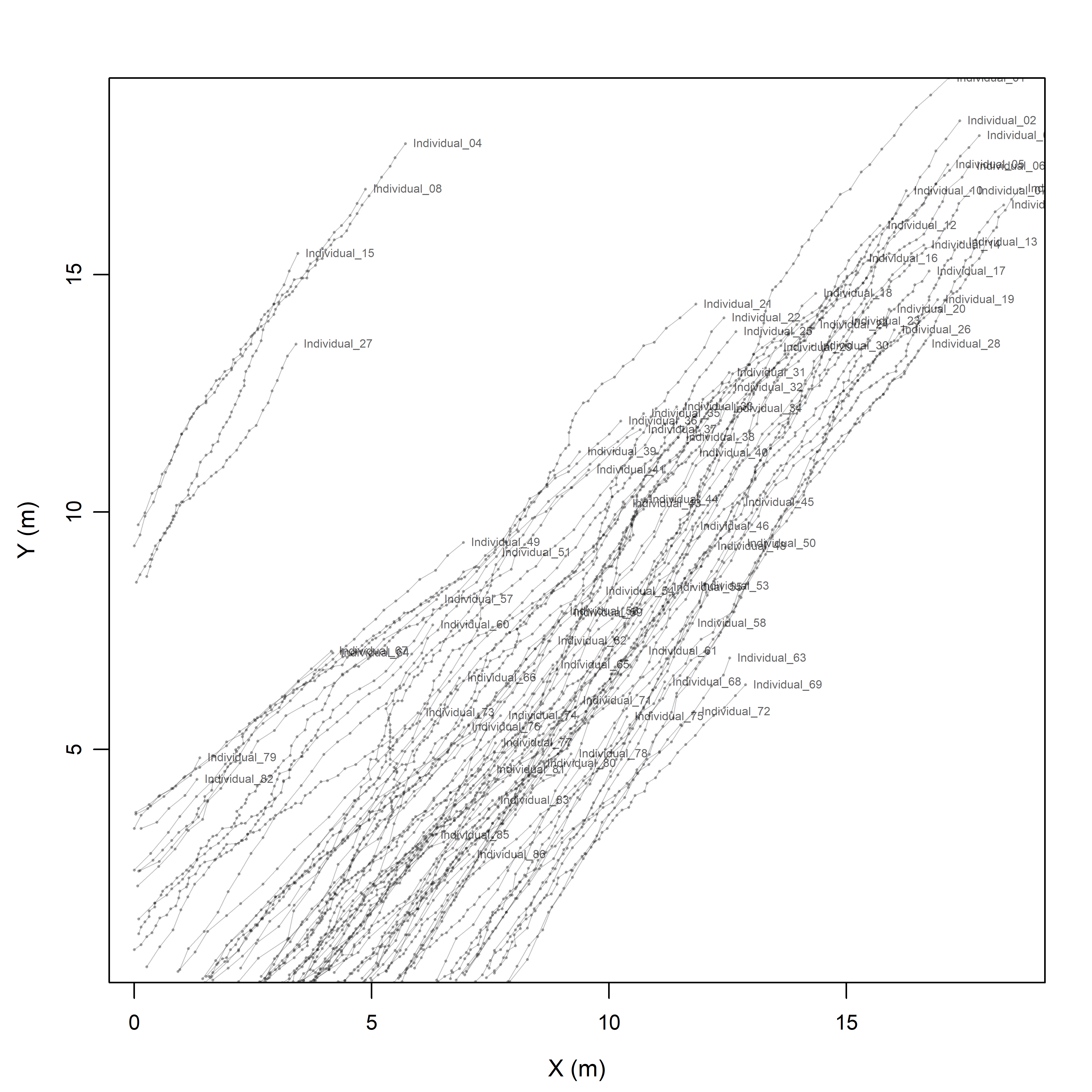 General overview of the filmed herd and the extracted trajectories. Semi-transparent lines represent individual sheep paths reconstructed from the digitized frame sequence, and labels indicate the first recorded position of each trajectory.